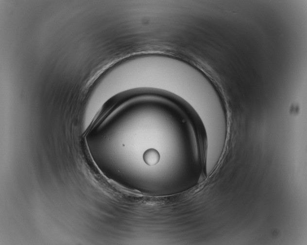 X0000115270155200911201737