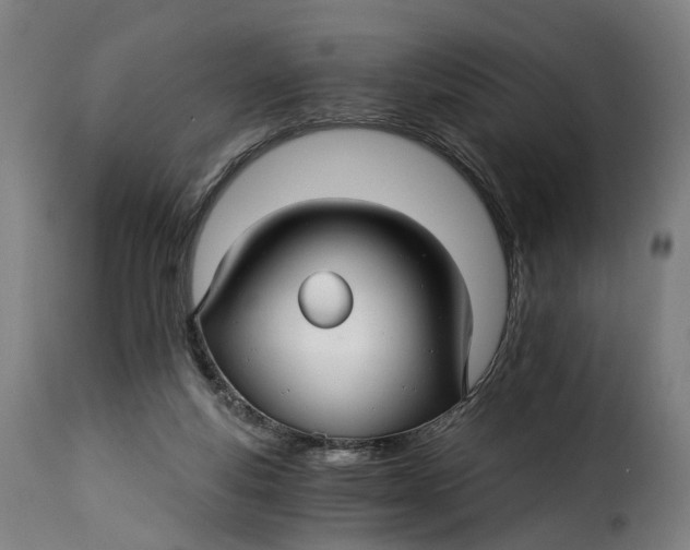 X0000115270163200911201737