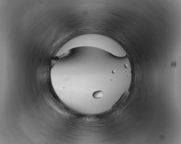 X0000115270165200911201737