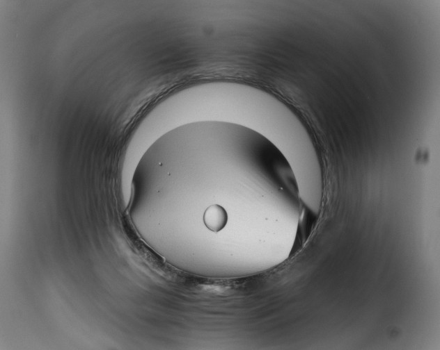 X0000115270167200911201737