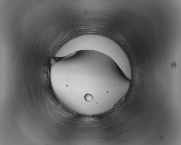 X0000115270169200911201737