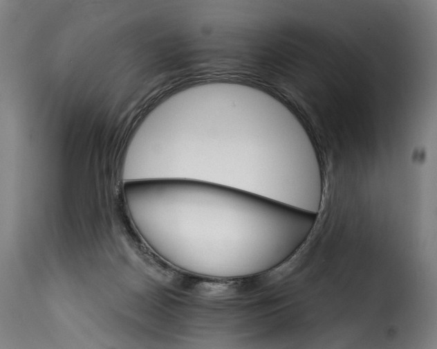 X0000115270170200911201737