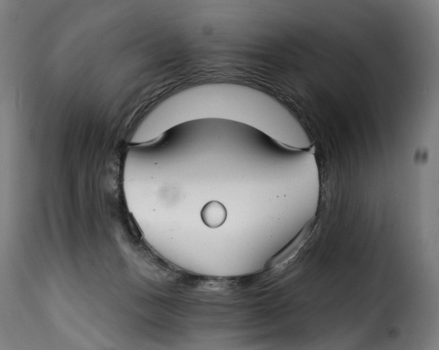 X0000115270175200911201737