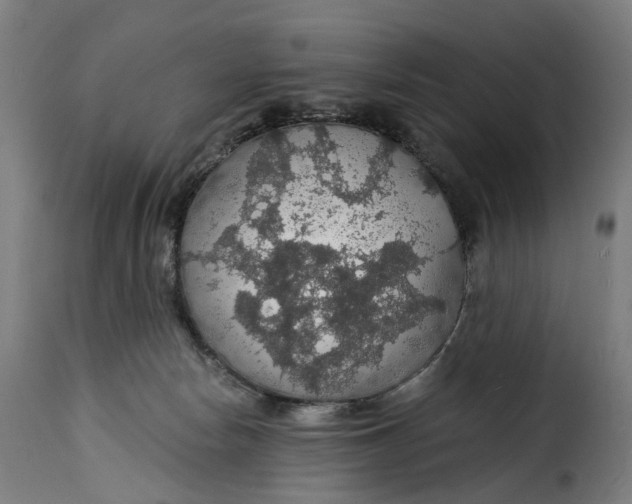 X0000115270178200911201737