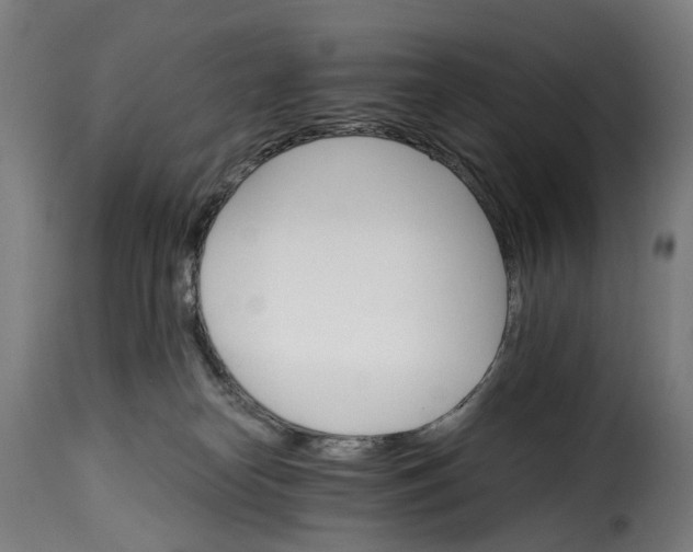 X0000115270182200911201737