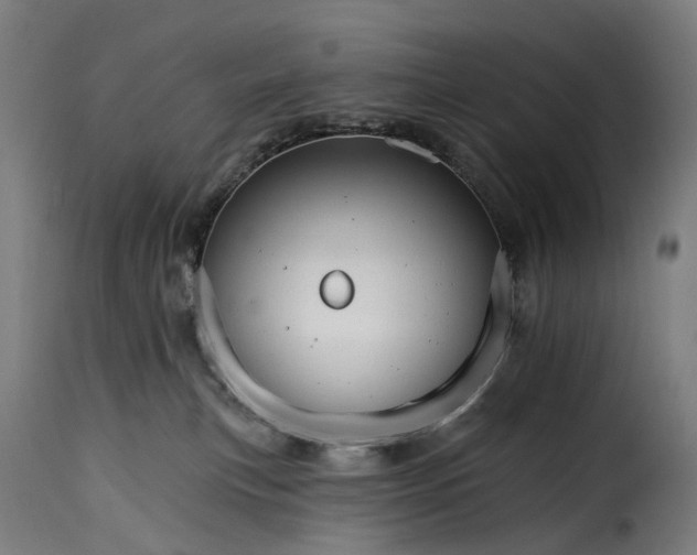 X0000115270183200911201737