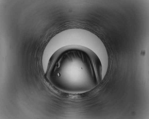 X0000115270185200911201737