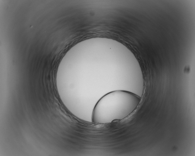 X0000115270186200911201737