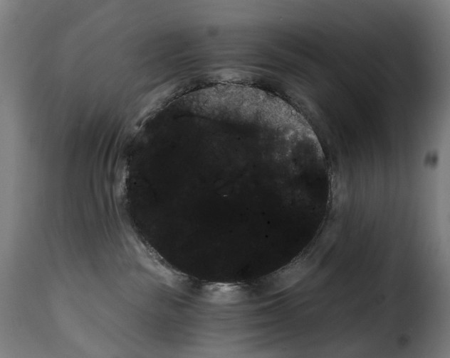 X0000115270189200911201737