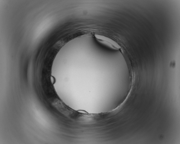 X0000115270190200911201737