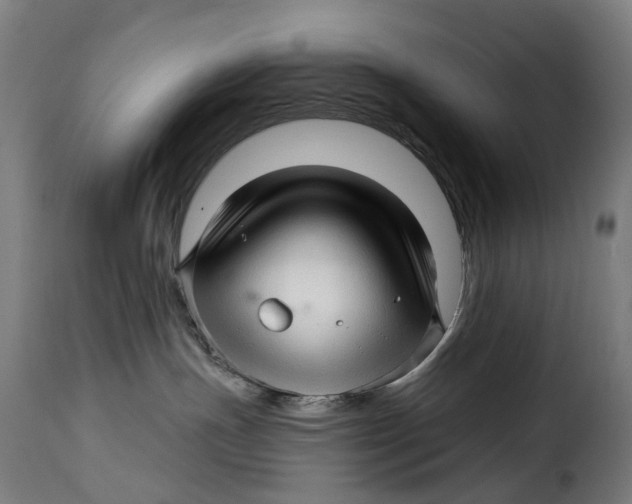 X0000115270191200911201737