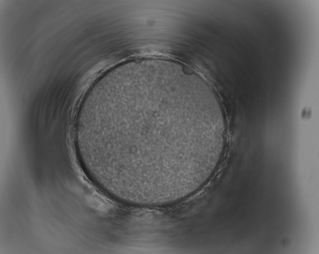 X0000115270193200911201736