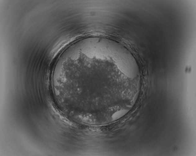 X0000115270194200911201736