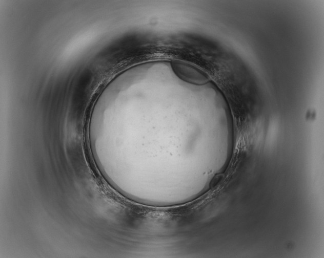 X0000115270195200911201736