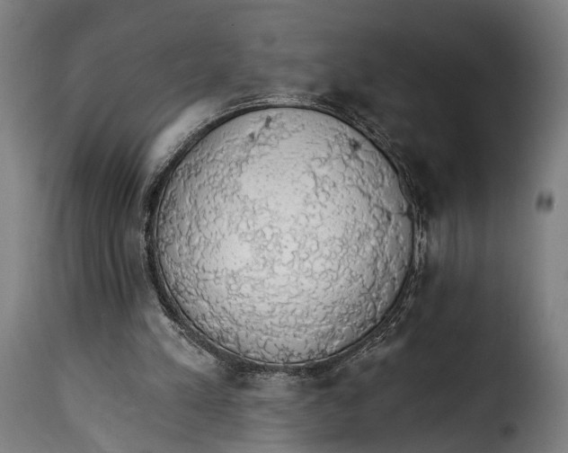 X0000115270197200911201736