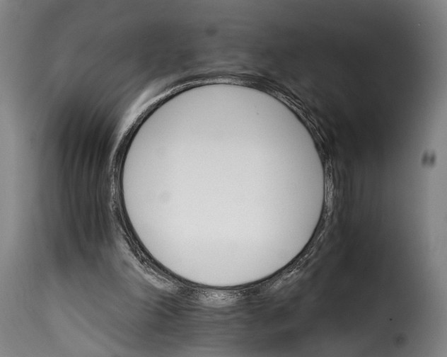 X0000115270198200911201736