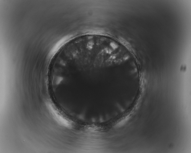 X0000115270199200911201736