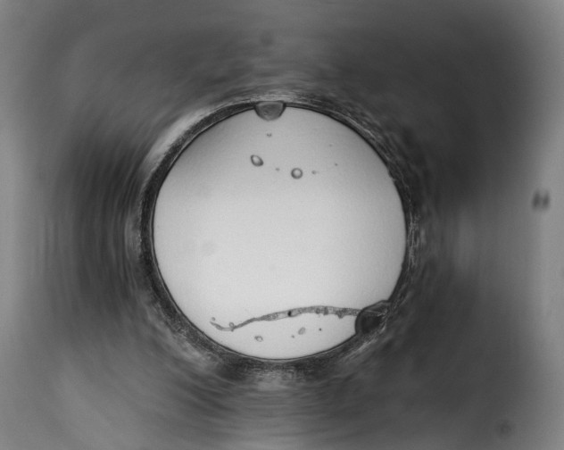 X0000115270200200911201736