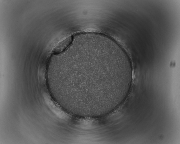 X0000115270201200911201736