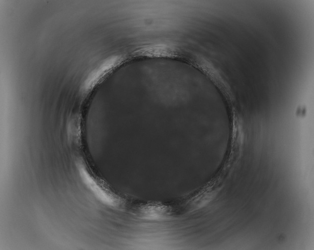 X0000115270202200911201736