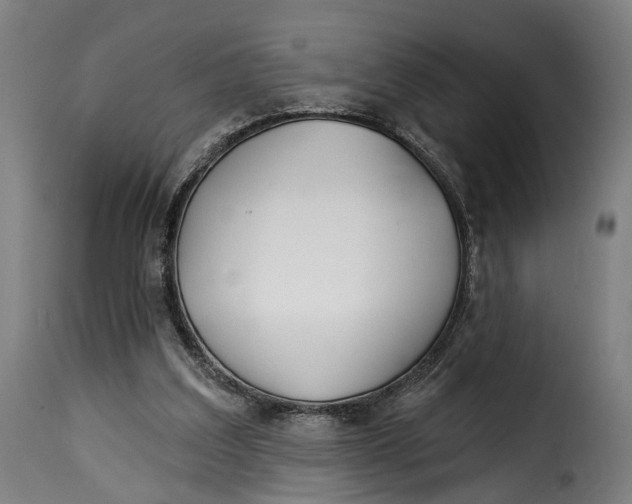 X0000115270203200911201736