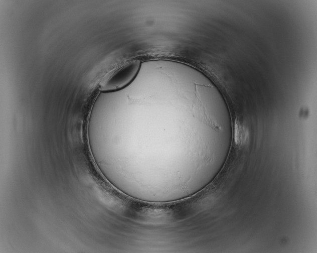 X0000115270205200911201736