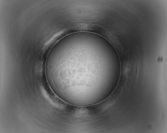 X0000115270206200911201736