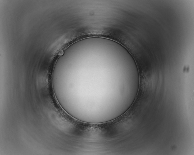 X0000115270207200911201736