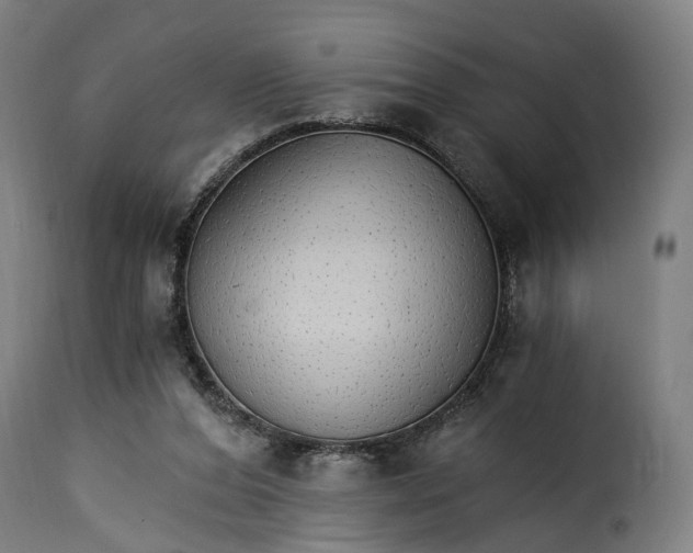 X0000115270208200911201736