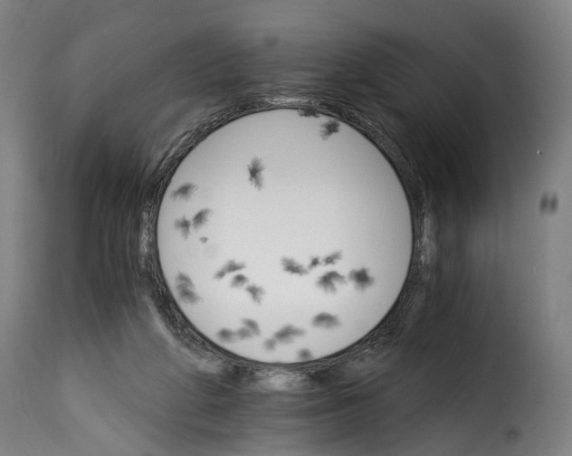 X0000115270210200911201736