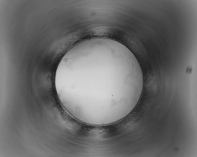 X0000115270213200911201736