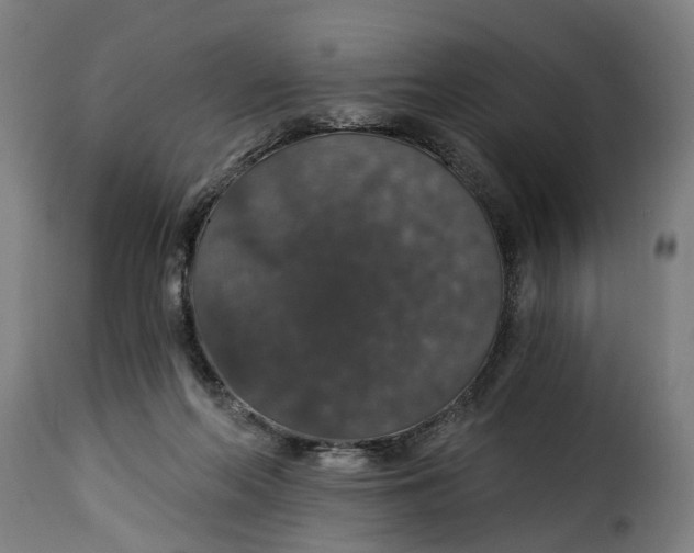 X0000115270214200911201736