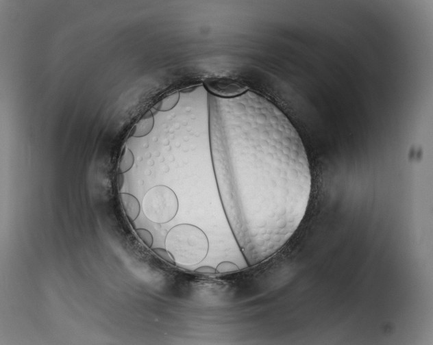 X0000115270215200911201736