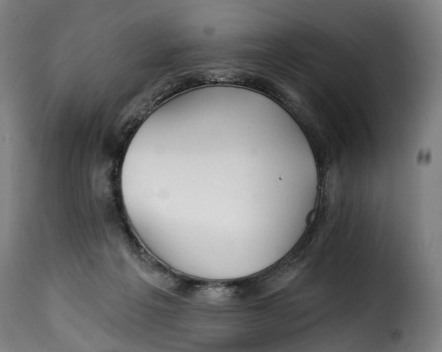 X0000115270217200911201736