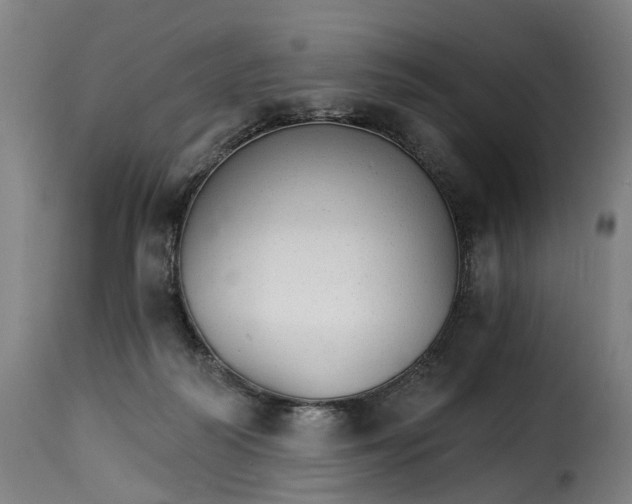 X0000115270218200911201736