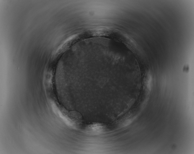 X0000115270219200911201736