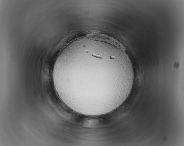 X0000115270220200911201736