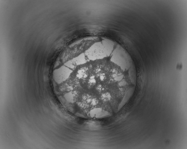 X0000115270221200911201736