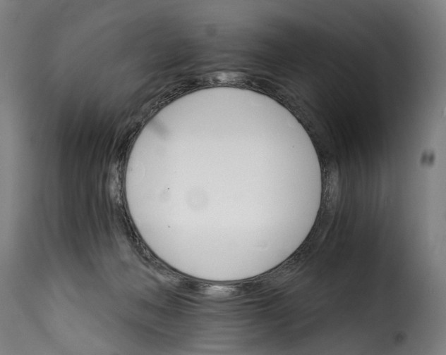 X0000115270222200911201736