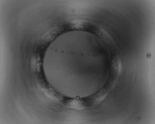 X0000115270223200911201736