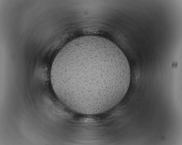 X0000115270224200911201736