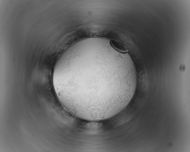 X0000115270225200911201736