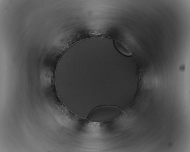 X0000115270227200911201736