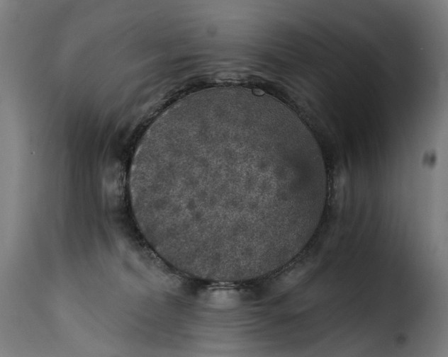 X0000115270228200911201736