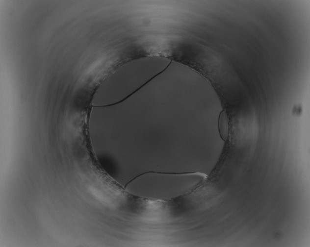 X0000115270229200911201736