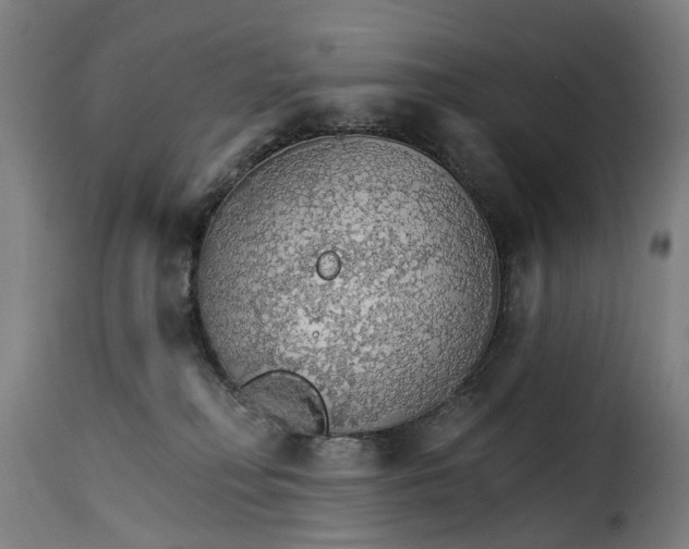 X0000115270230200911201736