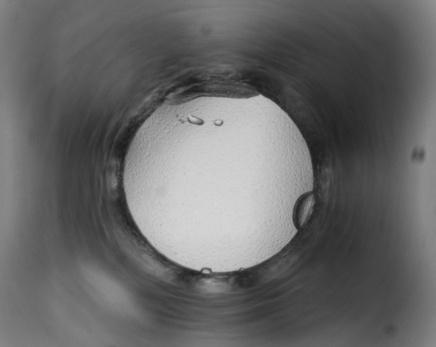 X0000115270232200911201736