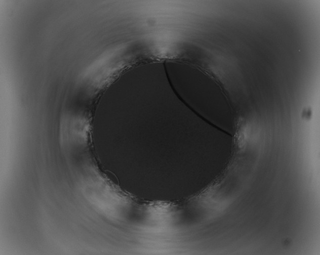 X0000115270235200911201736