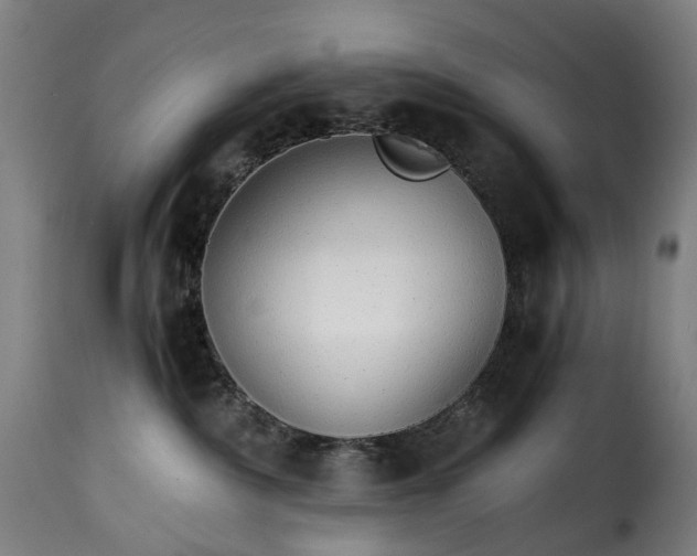 X0000115270236200911201736