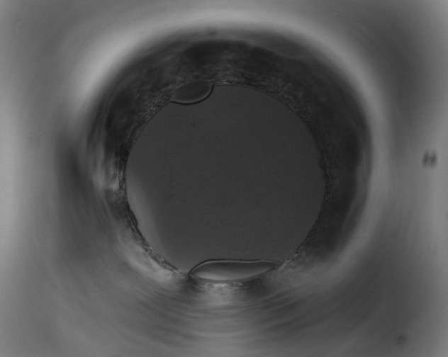 X0000115270239200911201736